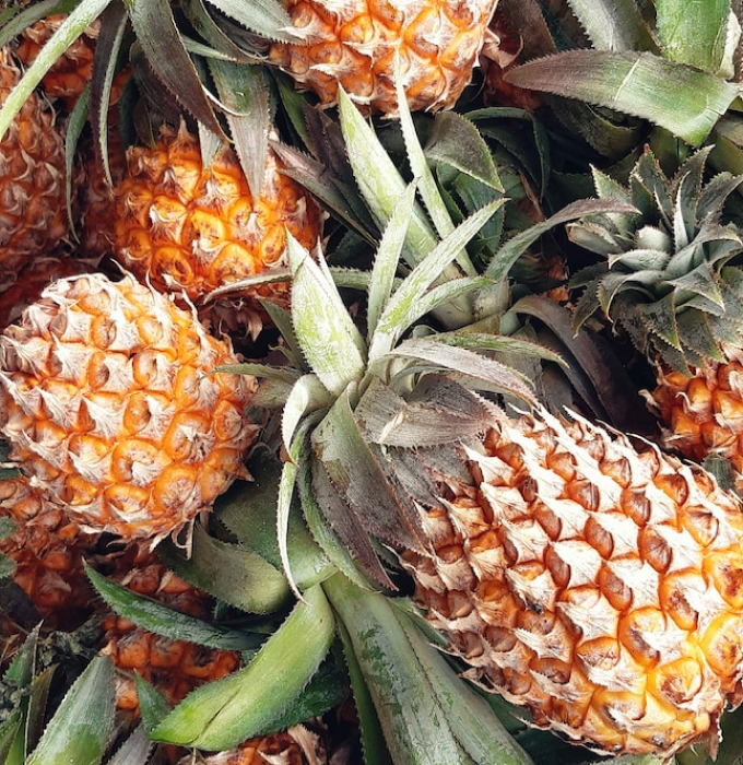 Pineapple